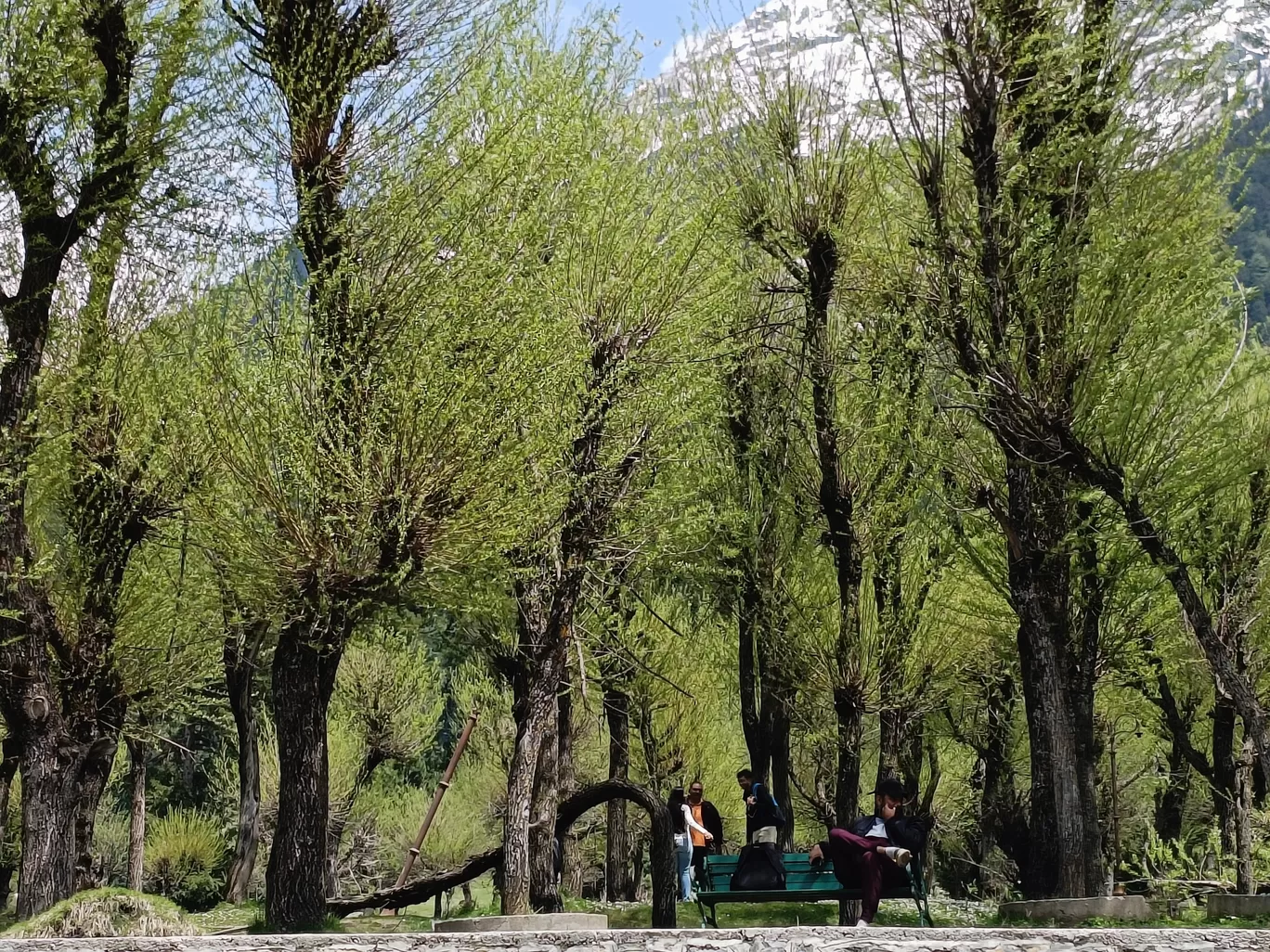 Photo of Betaab Valley By Jinal shah