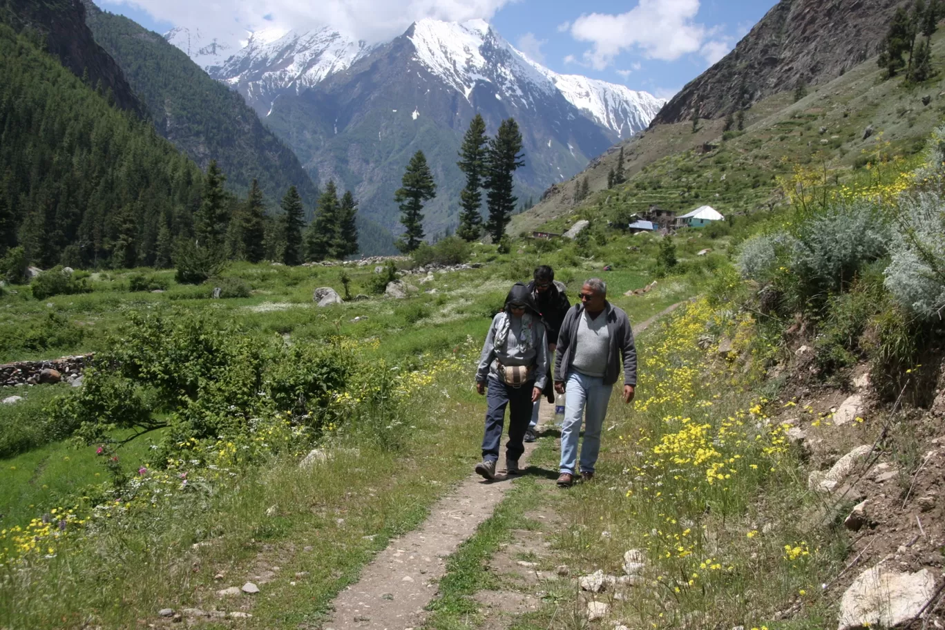 Photo of Pangi By Neel Thakur