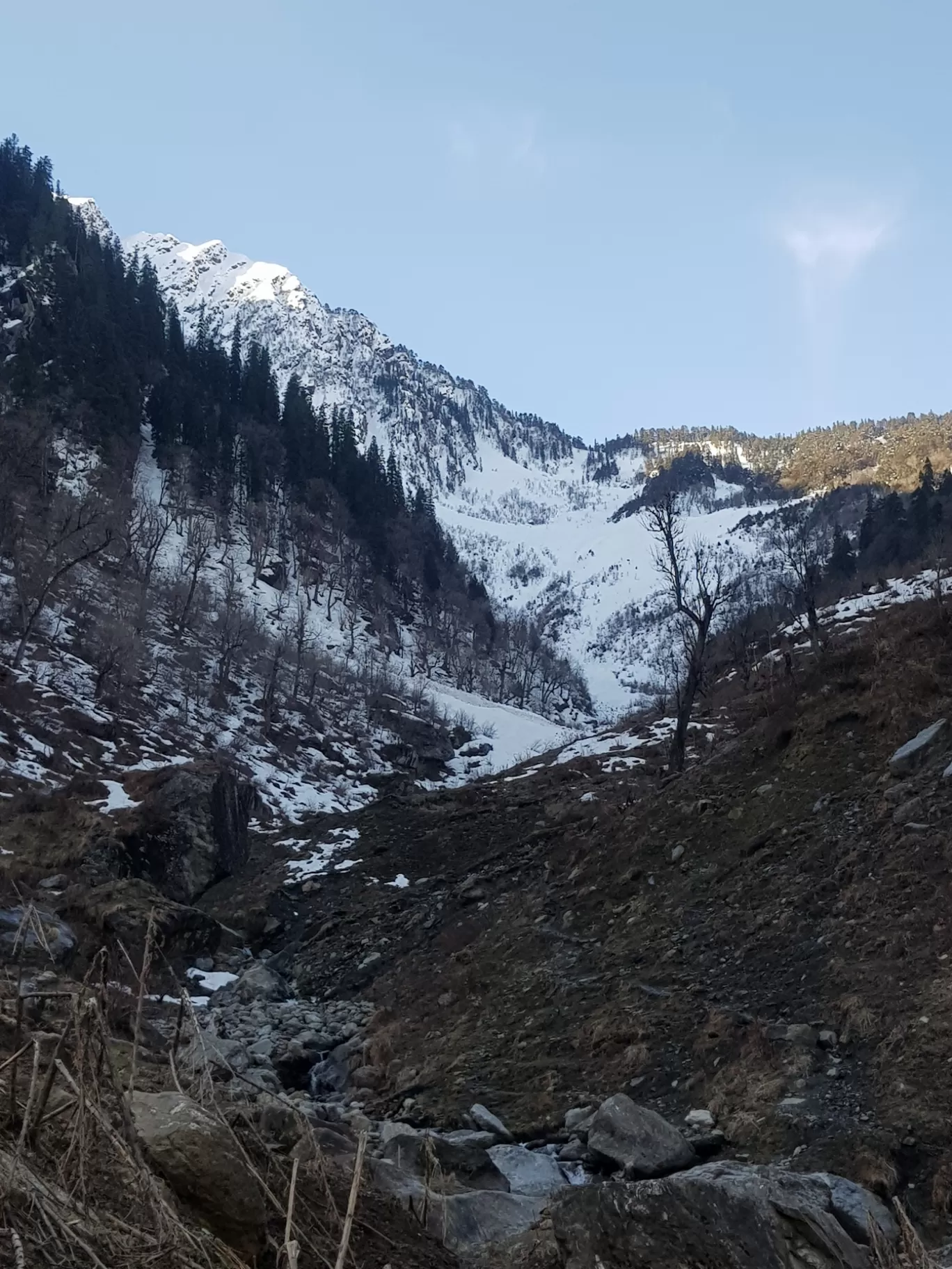 Photo of Manali By Harkanwar 