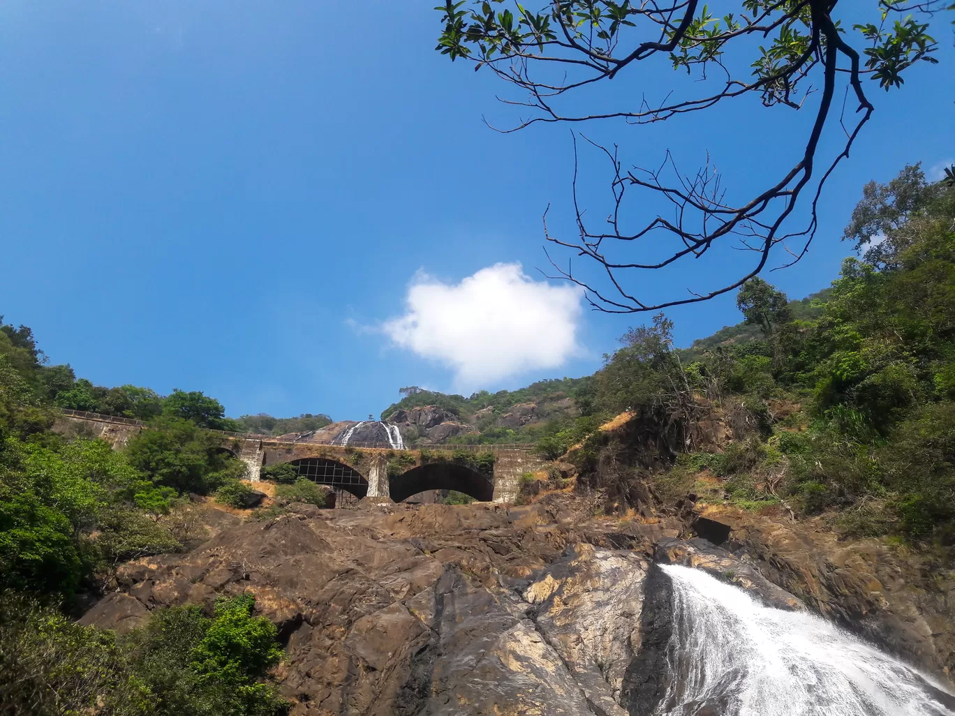 Photo of Dudhsagar Falls By Manan Karangiya
