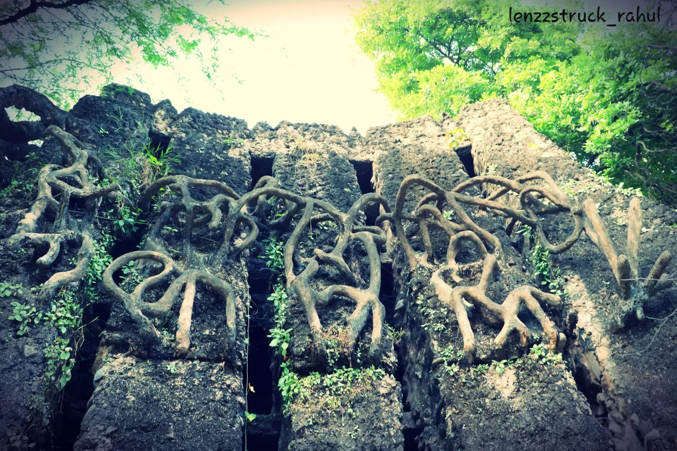 Photo of Rock Garden By Lenzzstruck