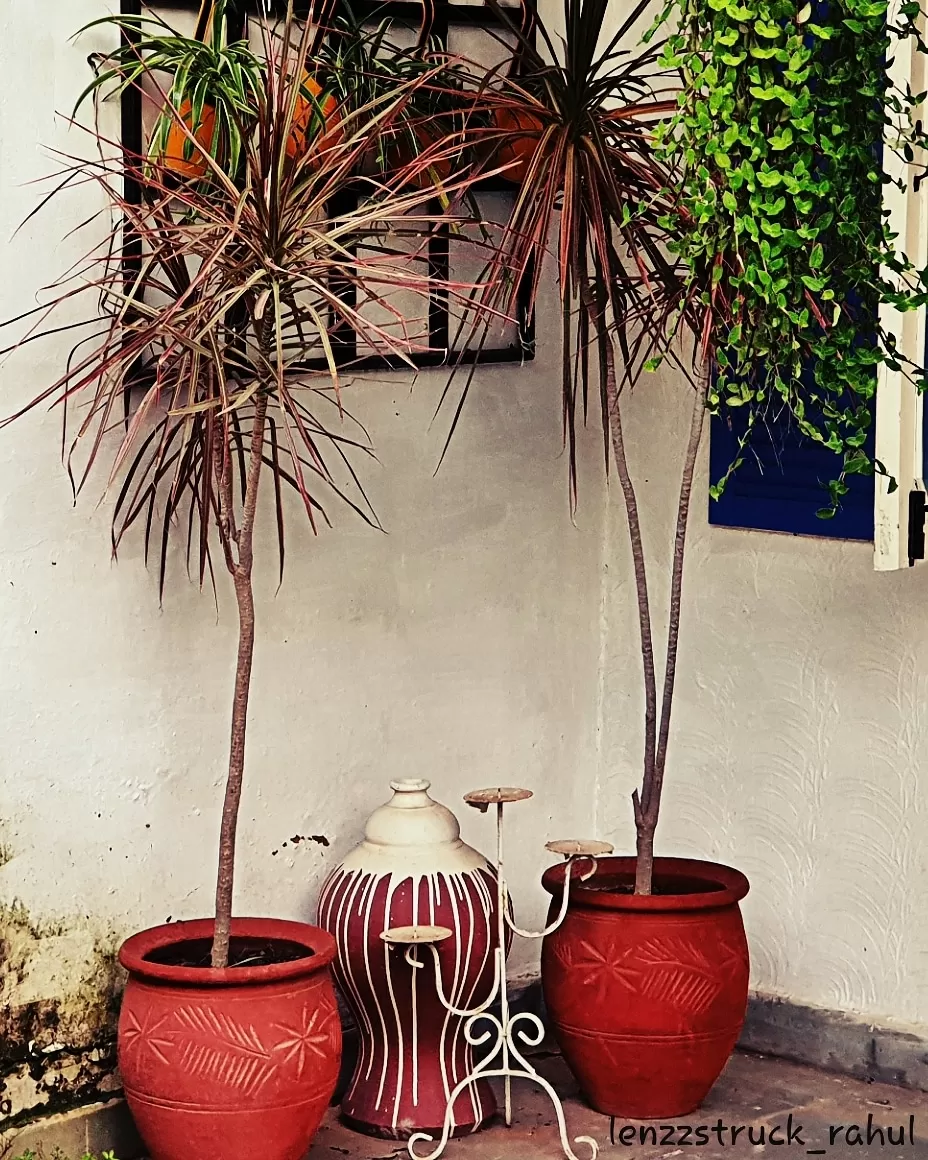 Photo of Chandigarh By Lenzzstruck