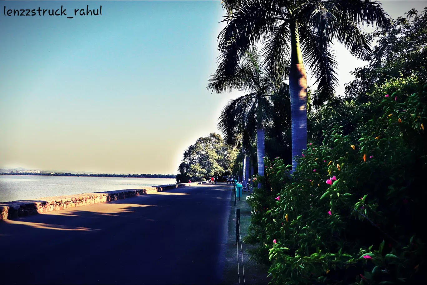 Photo of Chandigarh By Lenzzstruck