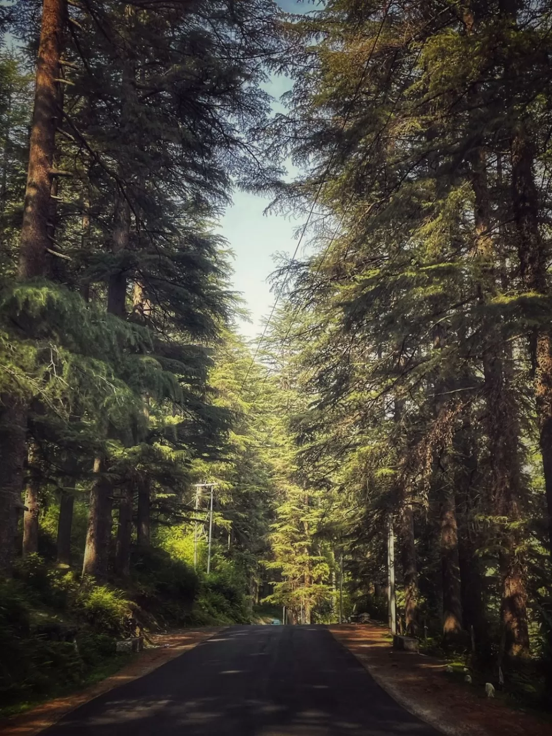 Photo of Rohtang Pass By Lenzzstruck