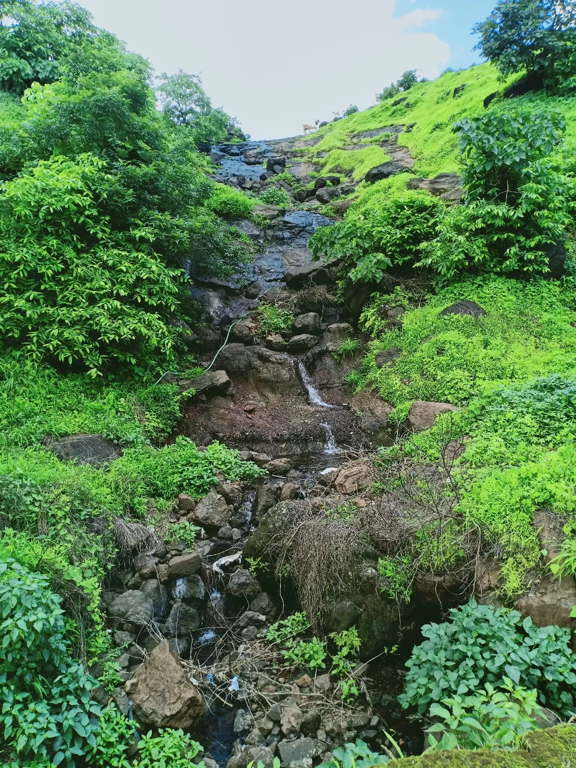 Photo of Kondeshwar Waterfalls By Vivek Kumar Singh