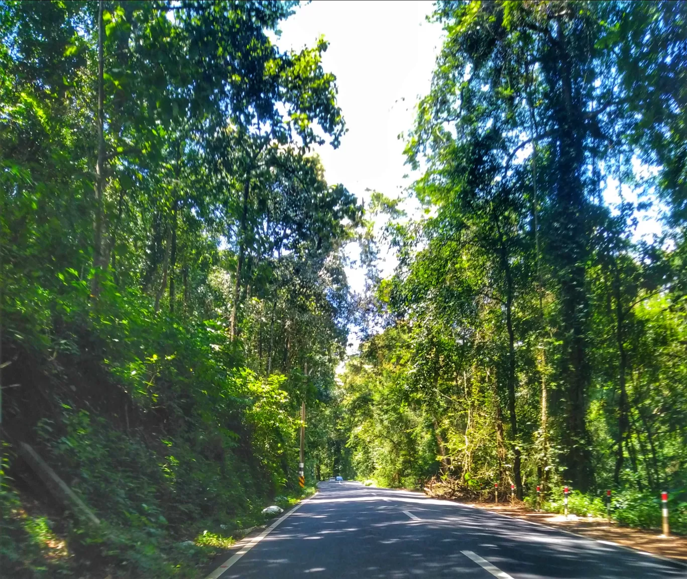 Photo of Ponthen Puzha Forest Road By Thejus R
