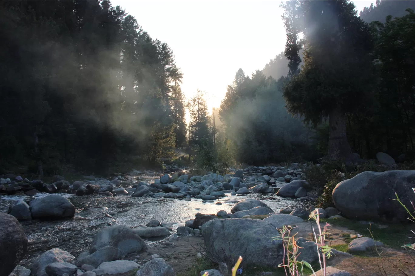 Photo of Daksum By Muneeb Najar