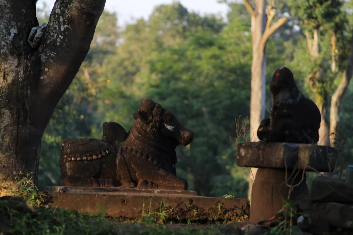 Photo of Coorg By Megha Jugran