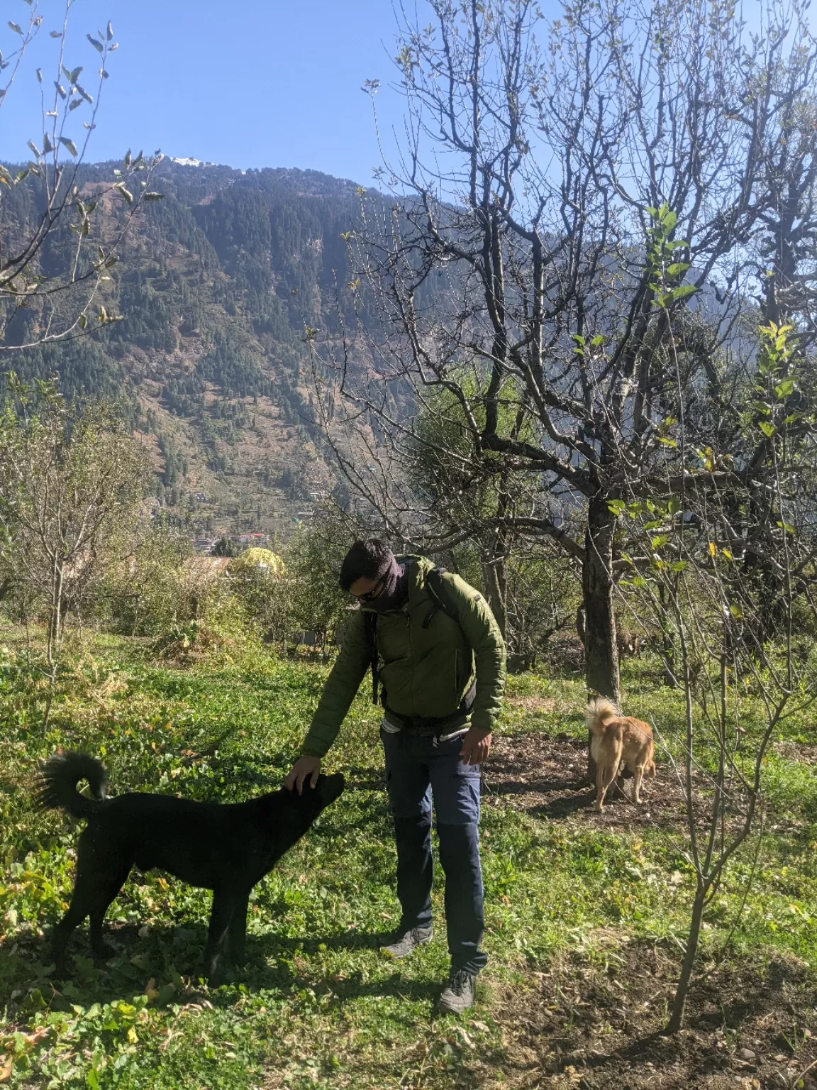 Photo of Old Manali By Rock Yadav