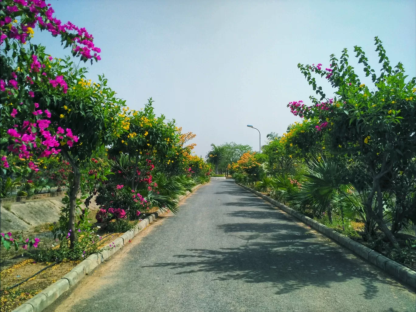 Photo of Gwalior By Praveen Singh