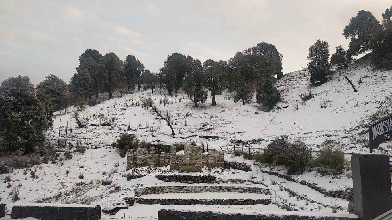 Photo of Munsyari Hill Top View Point By Mohnish Mohan