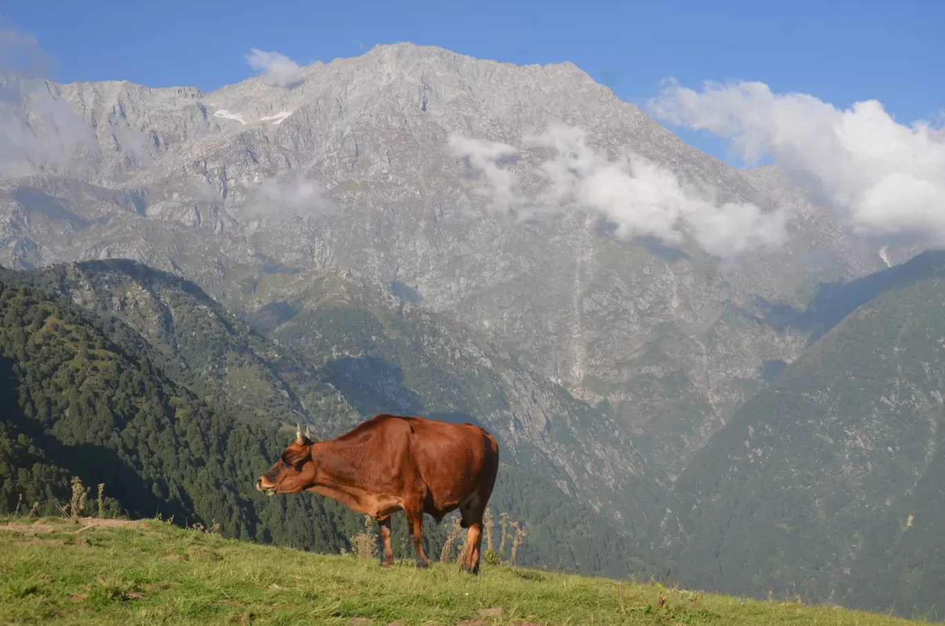 Photo of Thatharana Trek By Mohnish Mohan