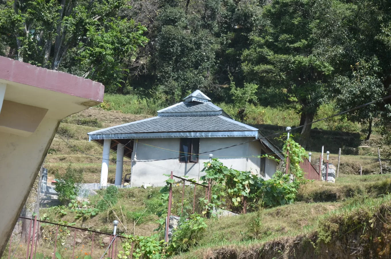 Photo of Thatharana Trek By Mohnish Mohan