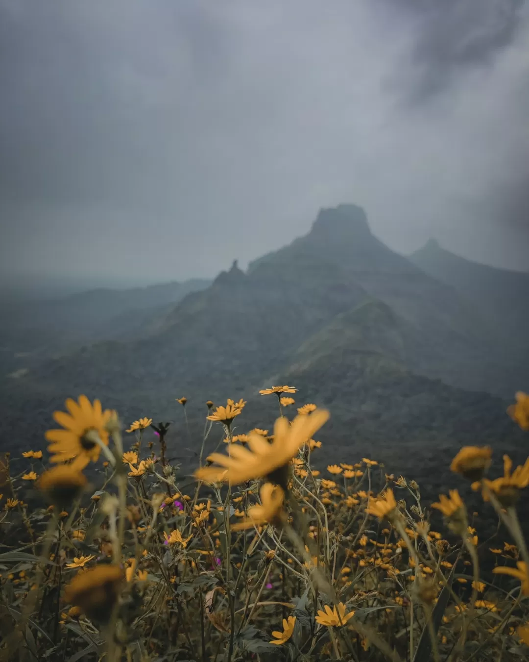 Photo of Nakhind By Om Pawar