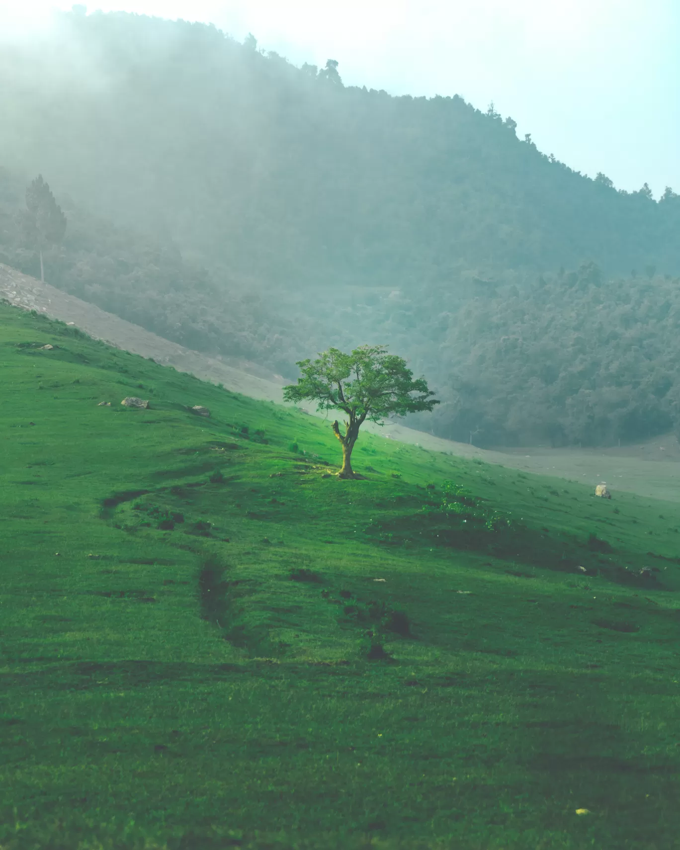 Photo of Benital By The Himalayan Spirit