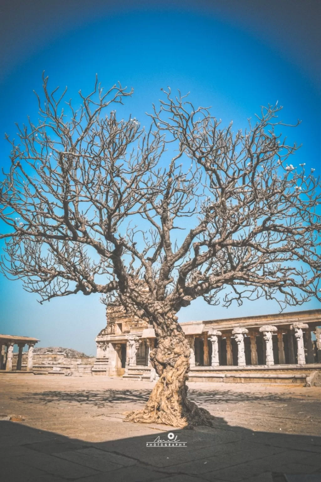 Photo of Hampi By Photanil