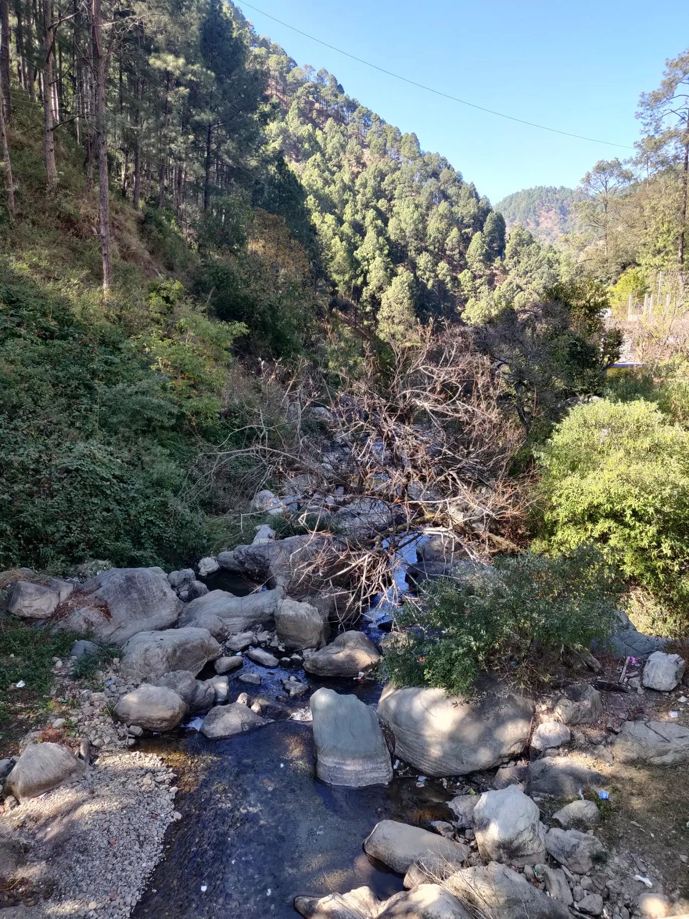 Photo of Kainchi Dham By Travel blogger