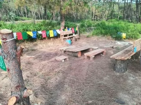 Photo of NIRVANA ECO CAMP By Deepak Kapoor