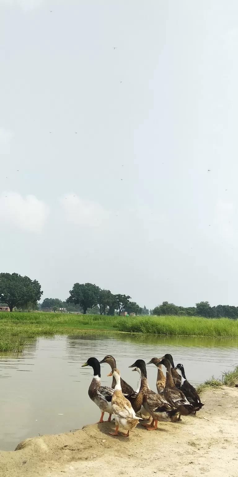 Photo of Badshahpur By Deepak Shukla