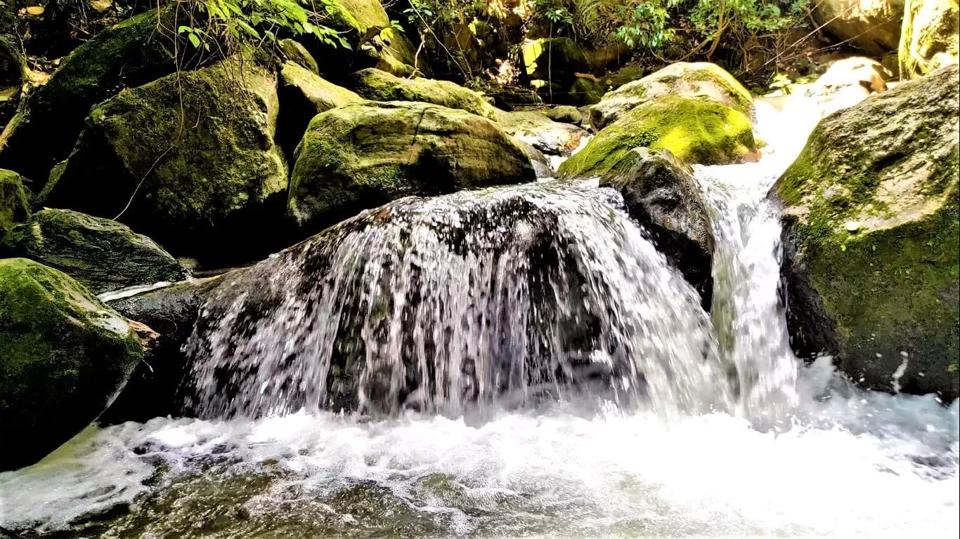 Photo of Palakkad By Biju Warrier