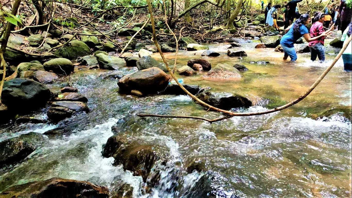 Photo of Palakkad By Biju Warrier