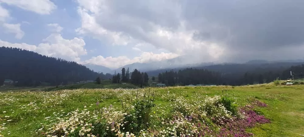 Photo of Gulmarg By Vijay Rathore