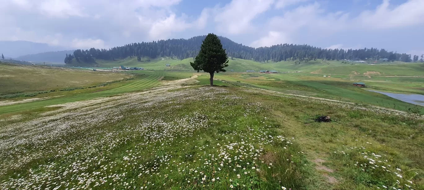 Photo of Gulmarg By Vijay Rathore