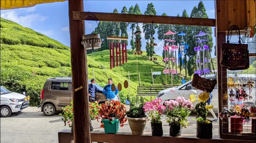 Photo of Darjeeling By A&A TRAVEL VLOGS