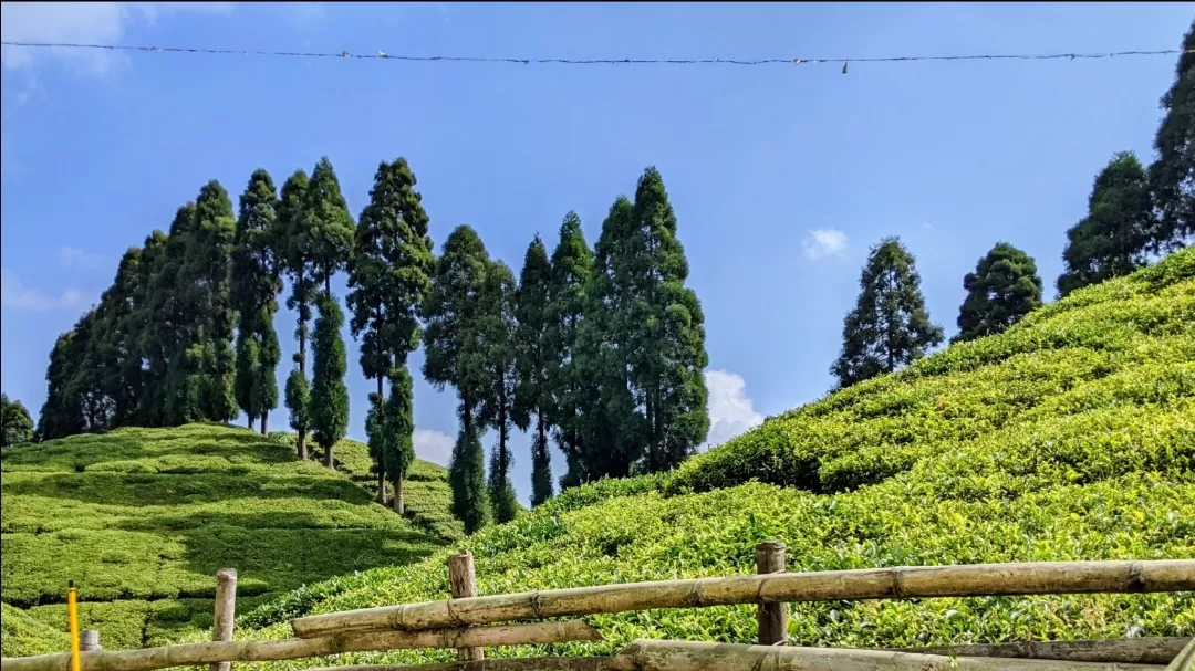 Photo of Darjeeling By A&A TRAVEL VLOGS