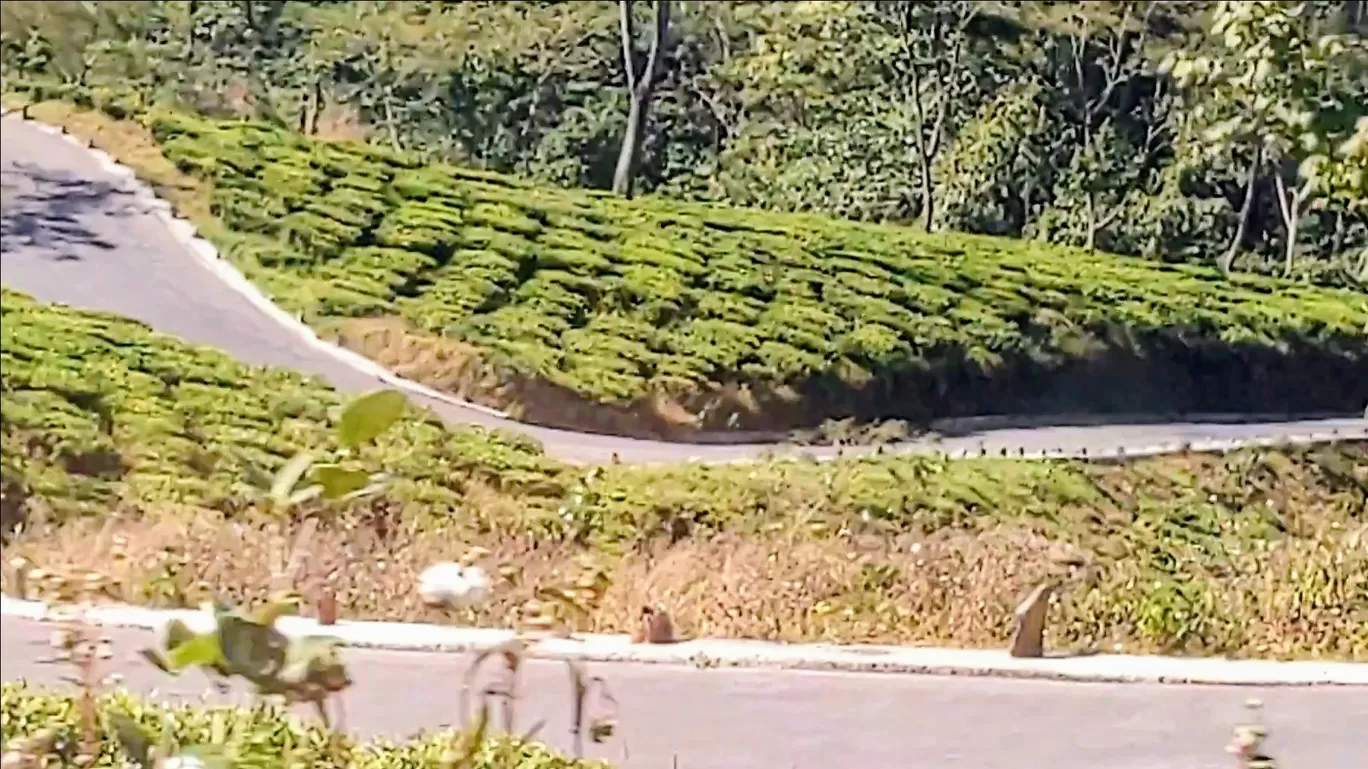 Photo of Darjeeling By A&A TRAVEL VLOGS