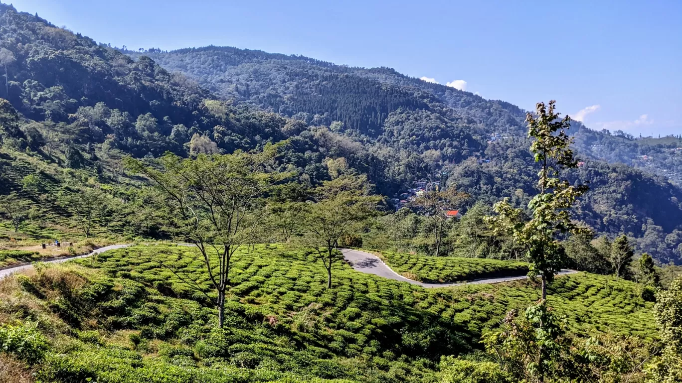 Photo of Darjeeling By A&A TRAVEL VLOGS