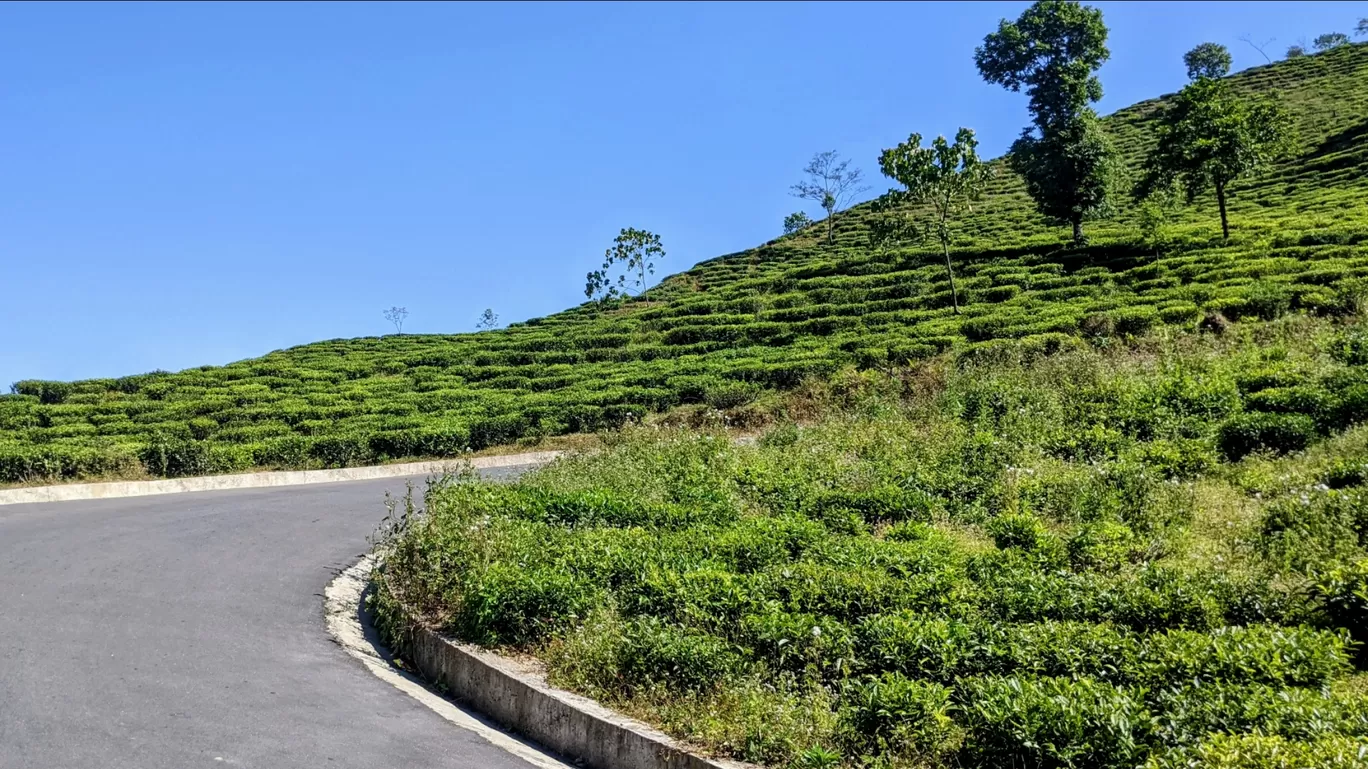 Photo of Darjeeling By A&A TRAVEL VLOGS