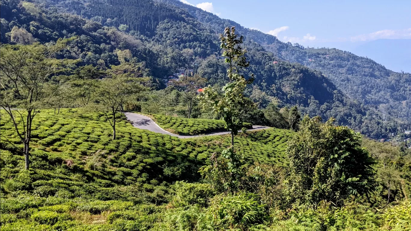 Photo of Darjeeling By A&A TRAVEL VLOGS