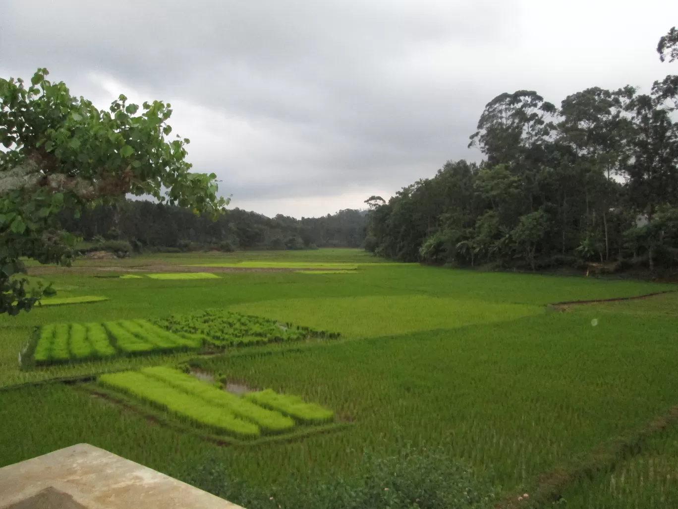 Photo of Kolli Hills By KR TECHNOCRAFT