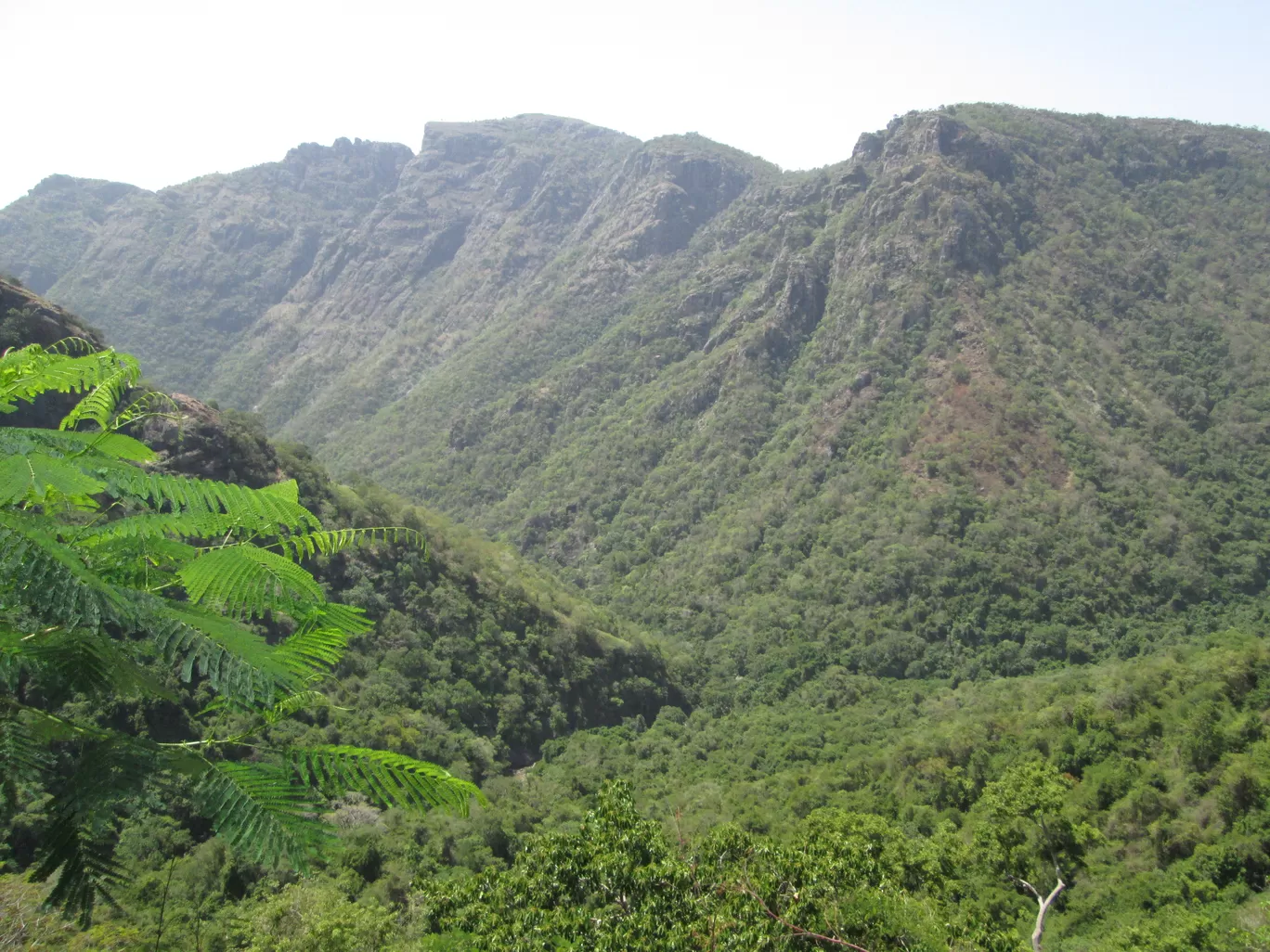 Photo of Agaya Ganga Water Falls By KR TECHNOCRAFT