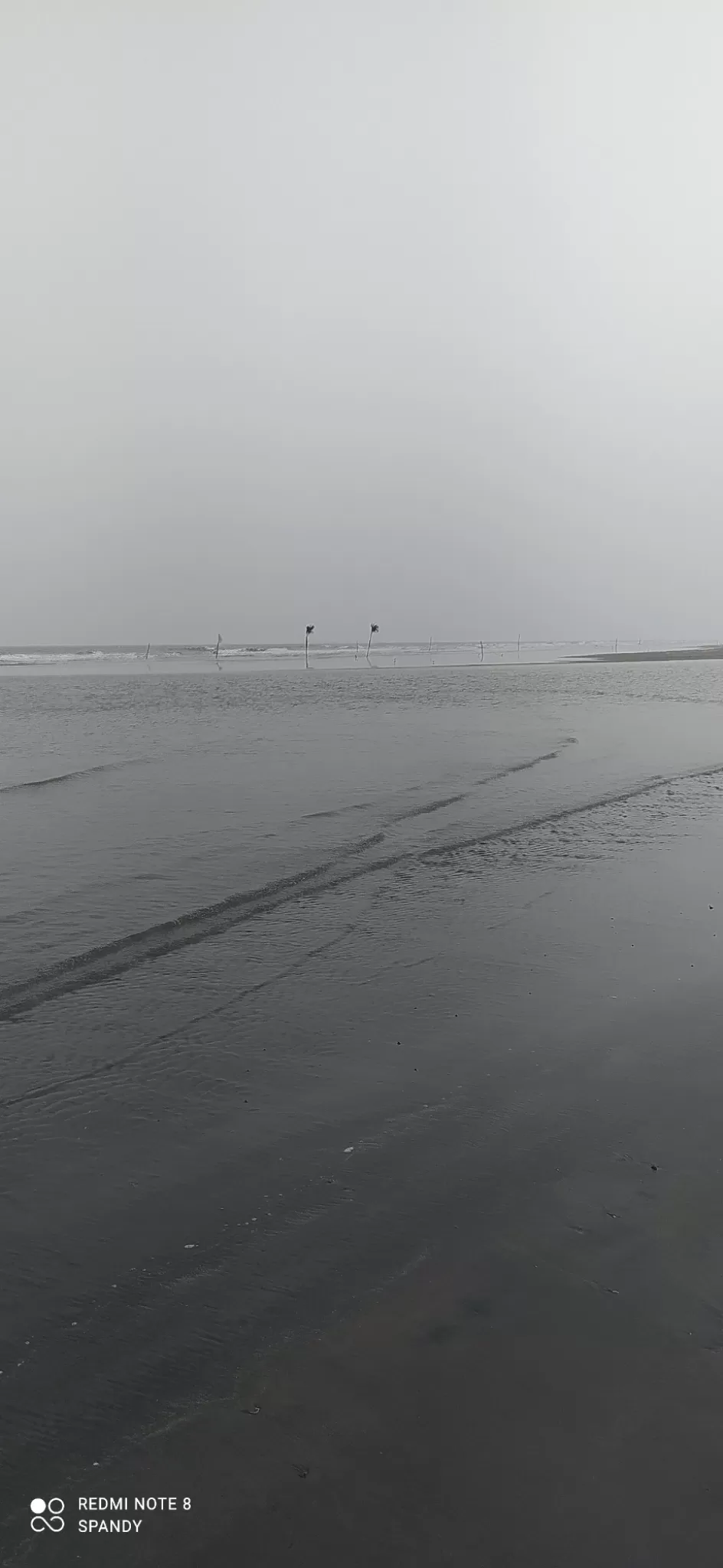 Photo of Manginapudi Beach By spandy