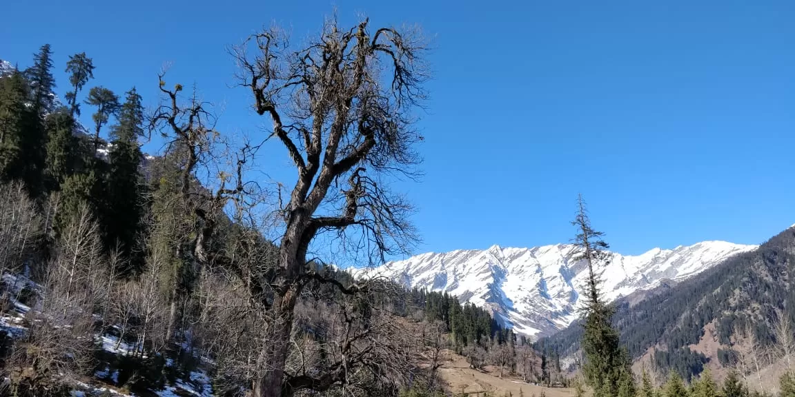 Photo of Solang Valley By Pratima Raykar