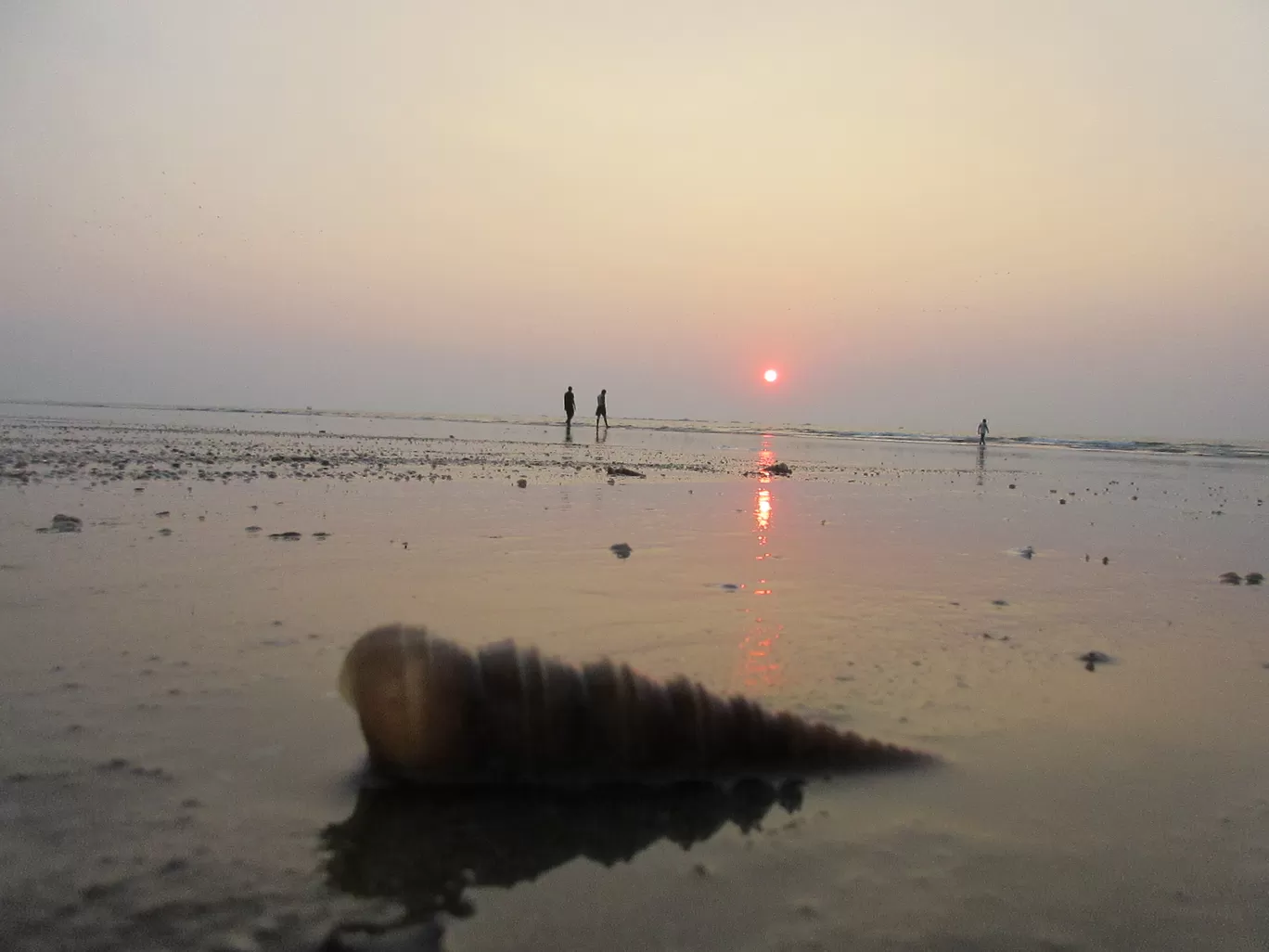 Photo of Tarkarli Beach By Pratima Raykar