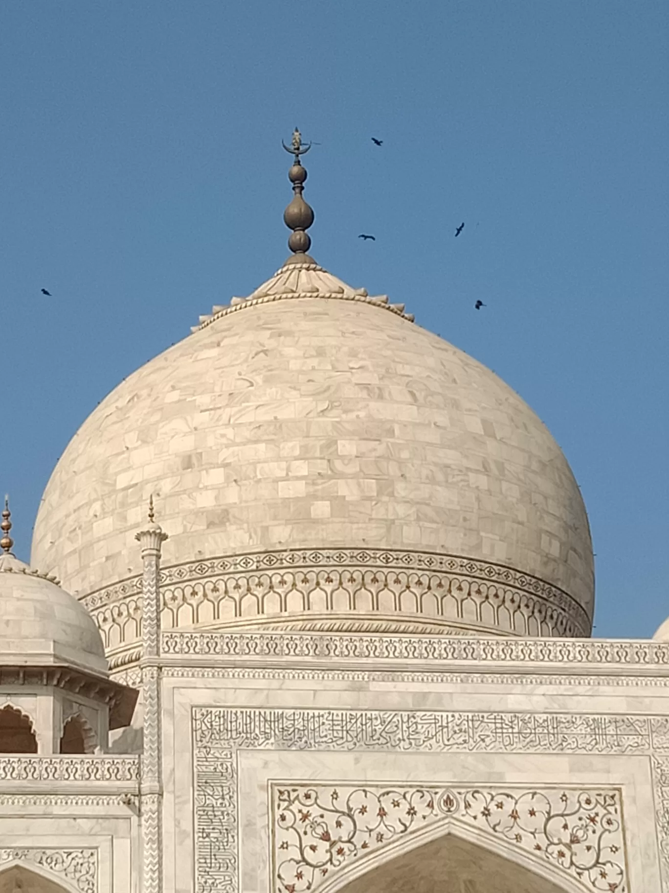 Photo of Taj Mahal By Pratima Raykar