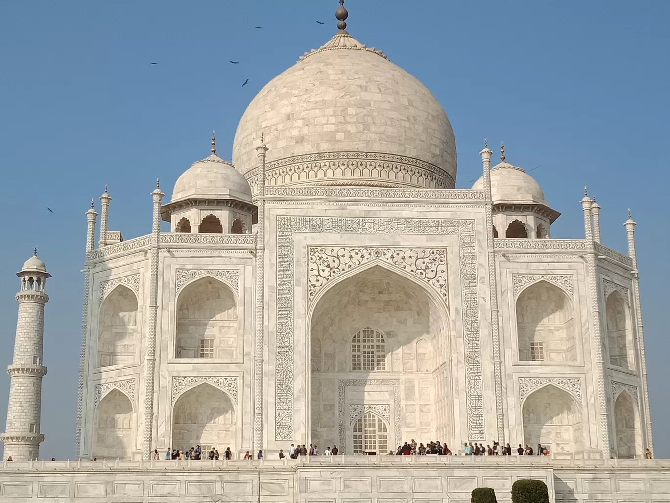 Photo of Taj Mahal By Pratima Raykar