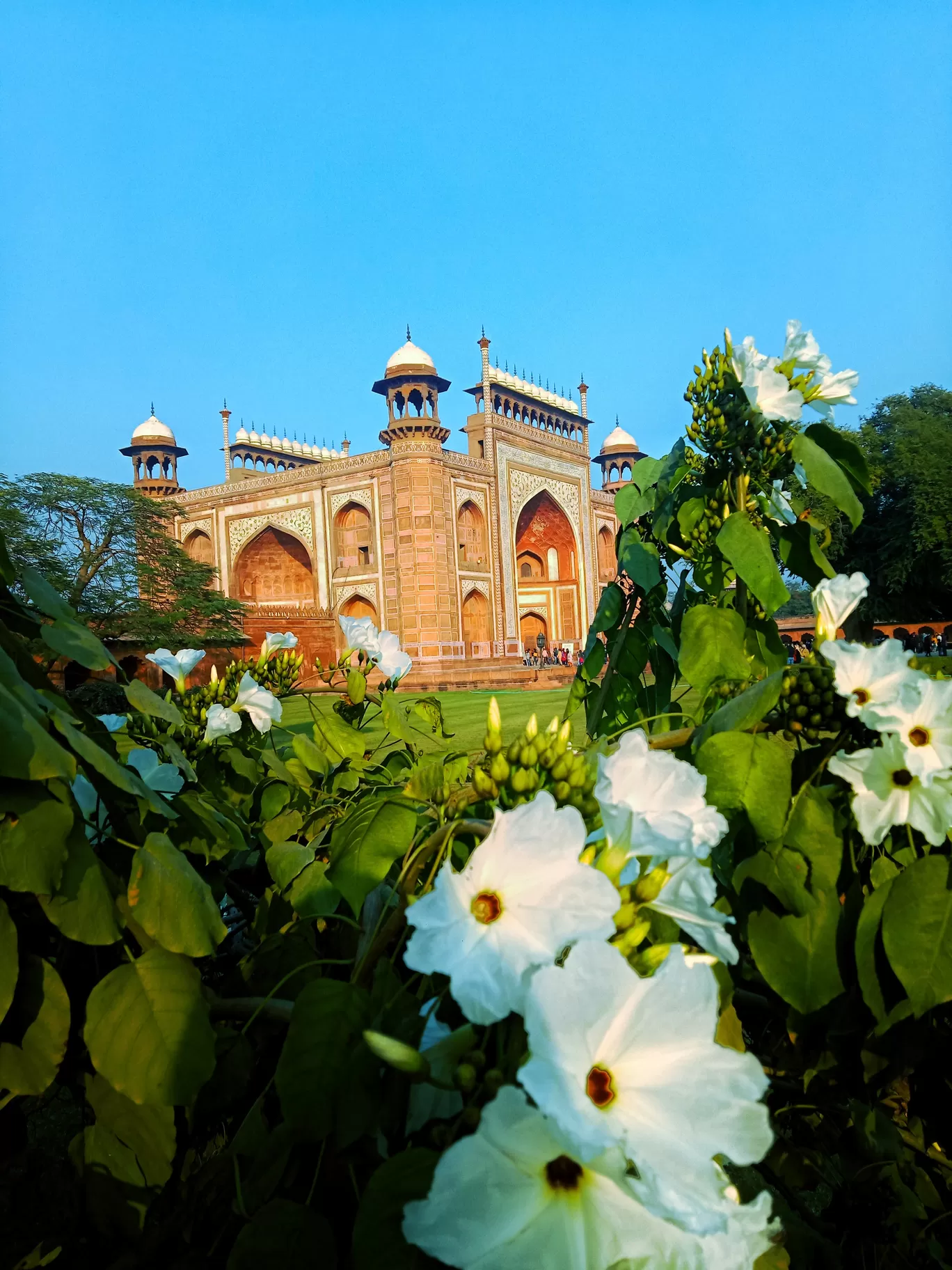Photo of Agra By Pratima Raykar