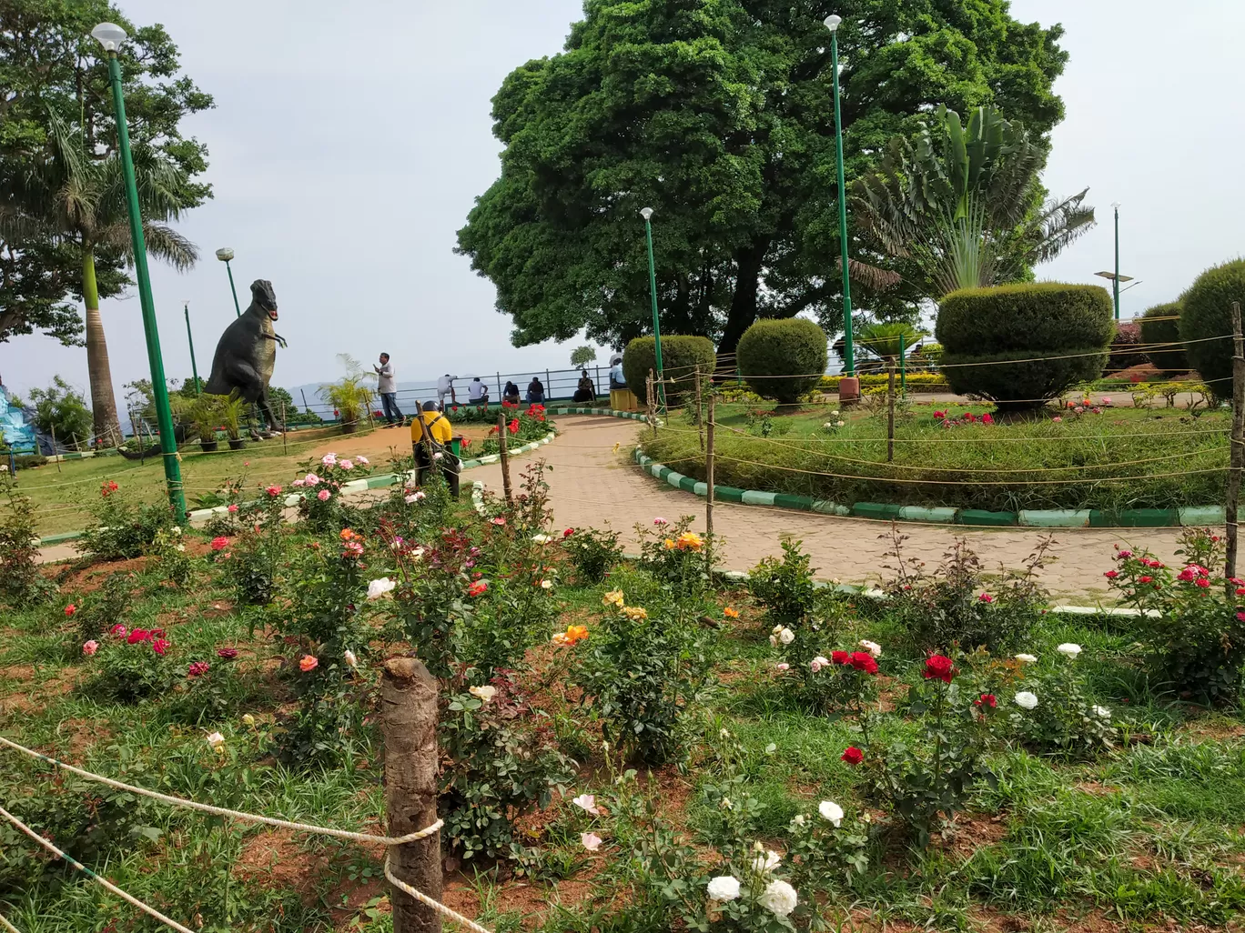 Photo of Coorg By Hemangi Narvekar