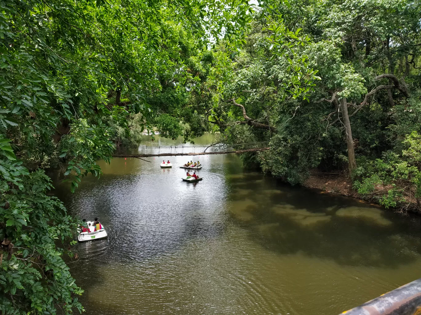 Photo of Coorg By Hemangi Narvekar