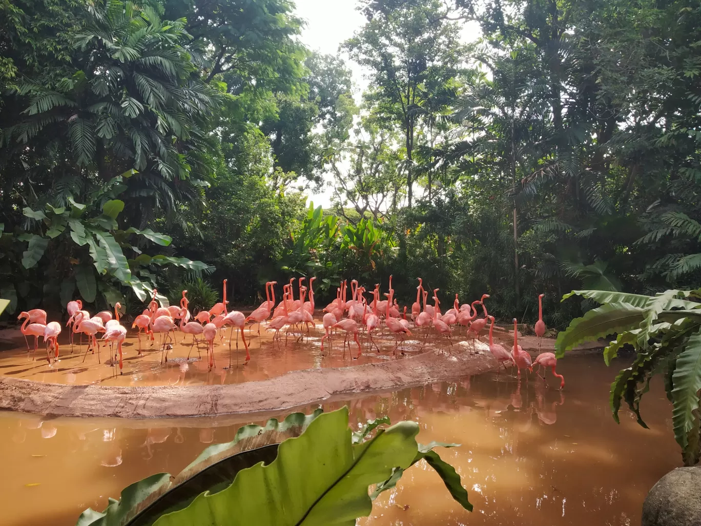 Photo of Jurong Bird Park By Hemangi Narvekar