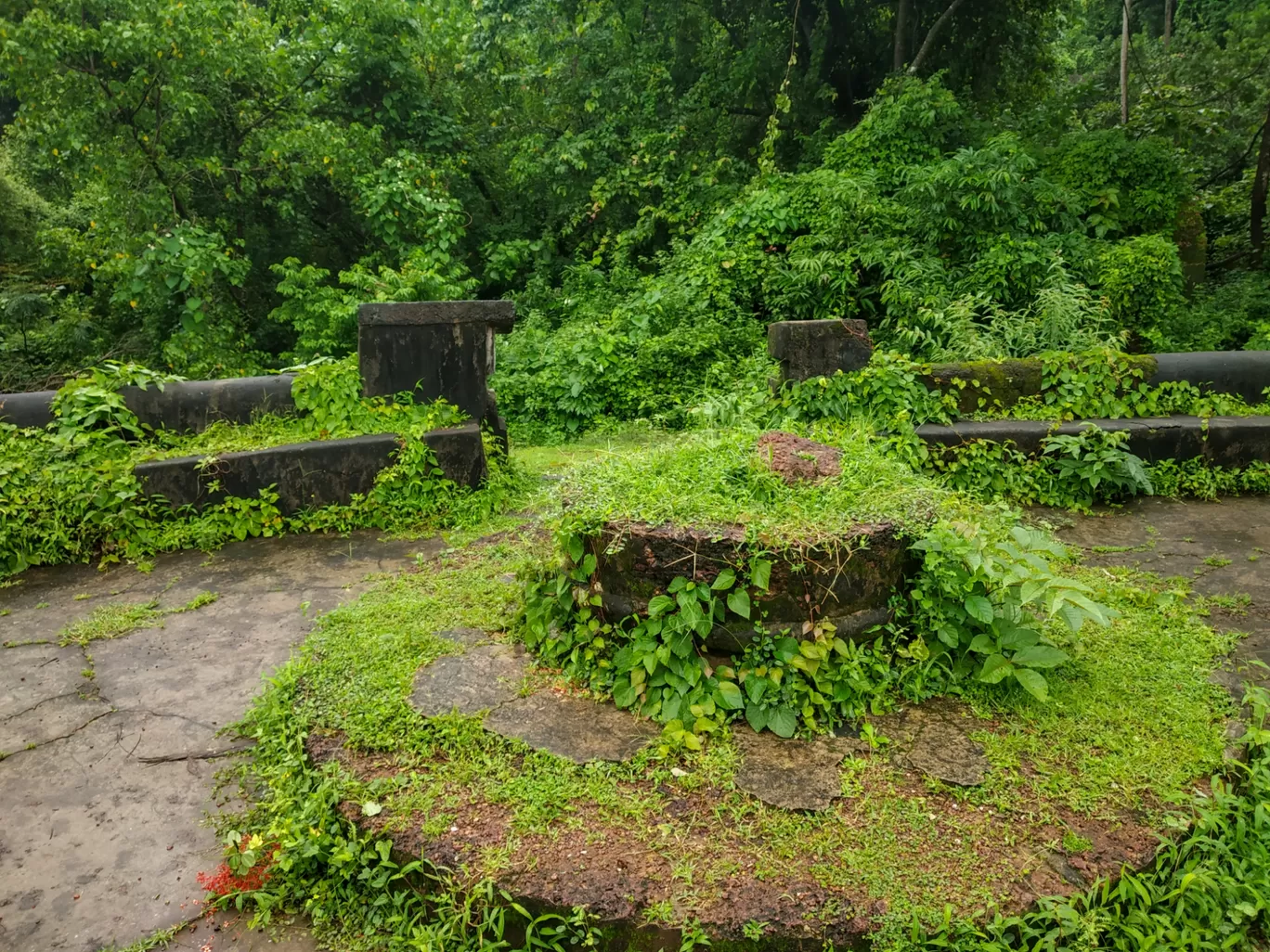 Photo of Goa By Hemangi Narvekar