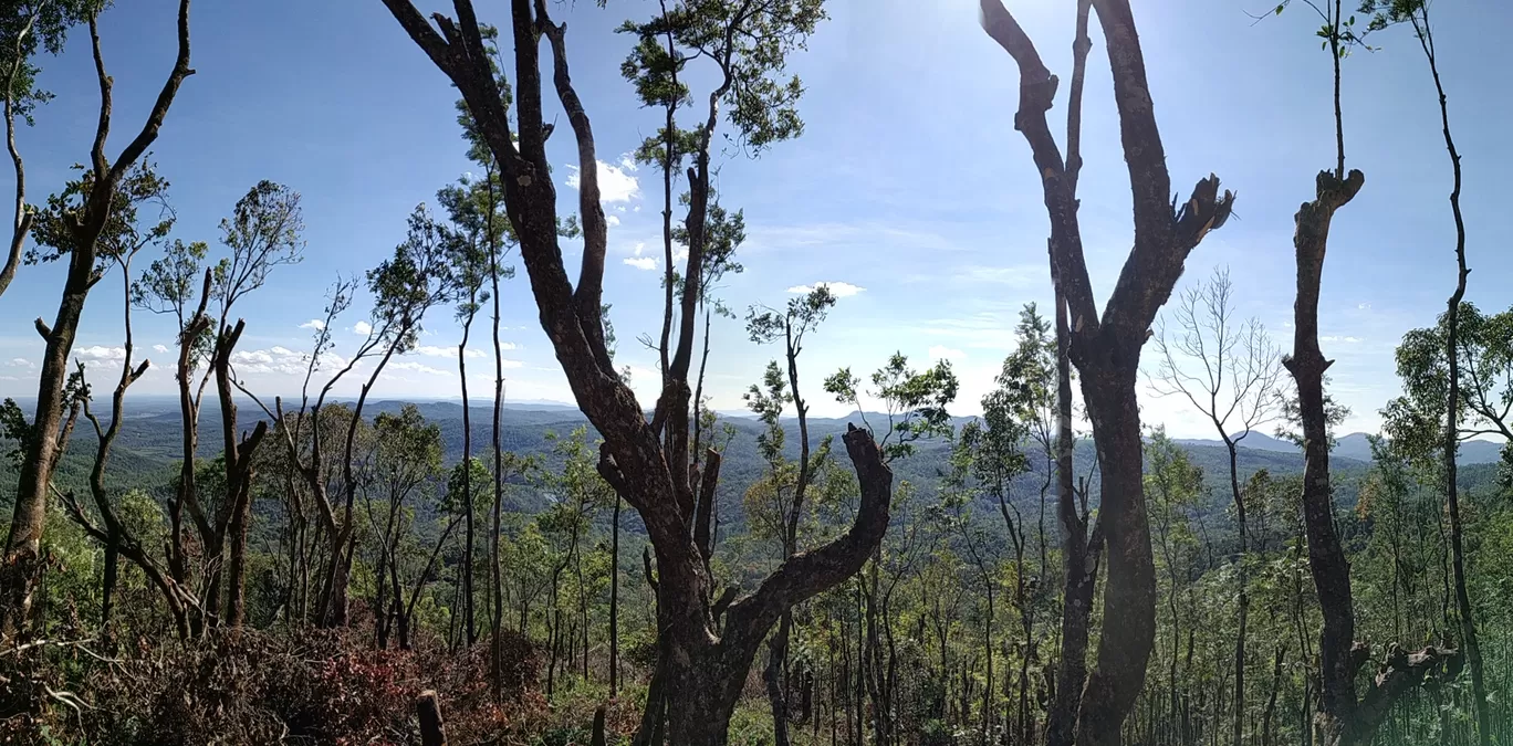 Photo of Mullayanagiri Peak By Hemangi Narvekar