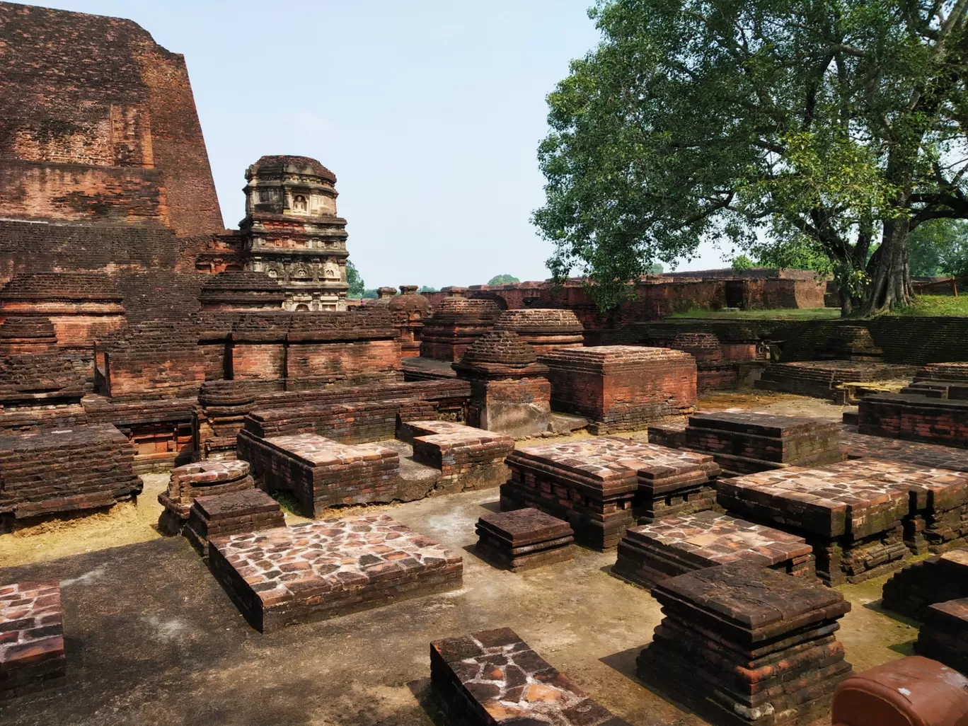 Photo of Nalanda By Hemangi Narvekar