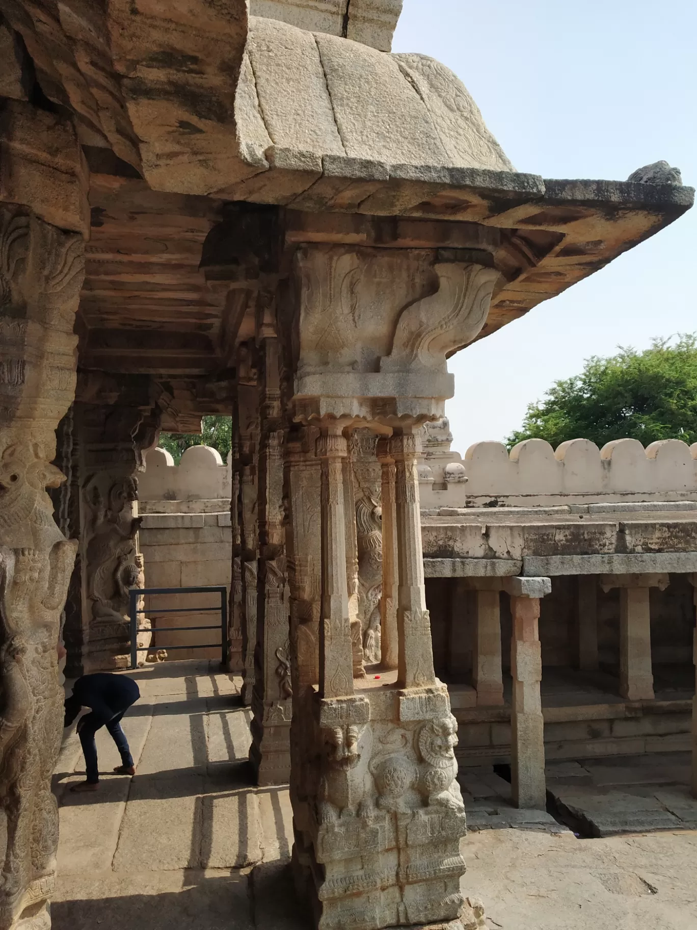 Photo of Lepakshi By Hemangi Narvekar