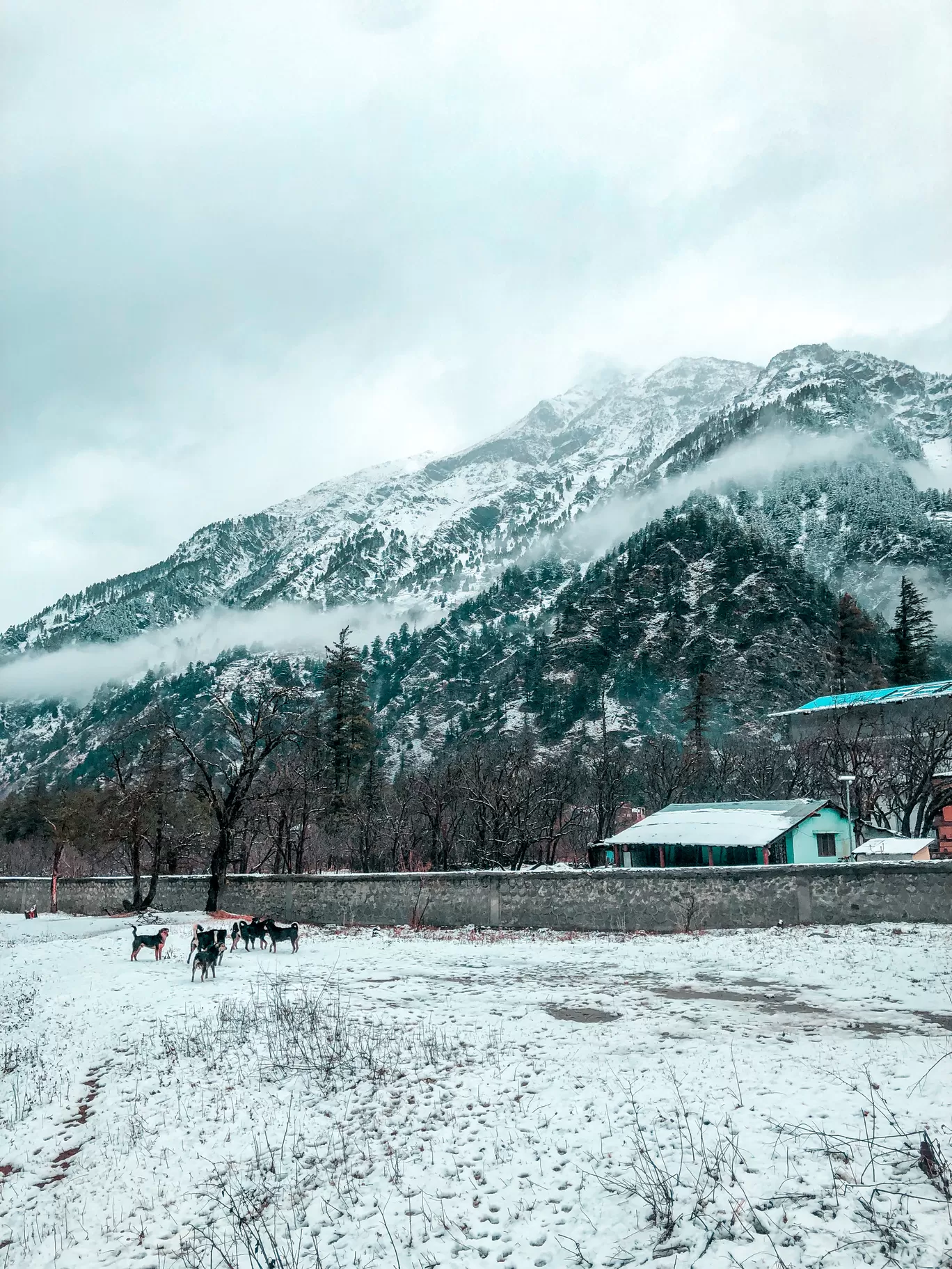 Photo of Harsil By Bhupinder Singh