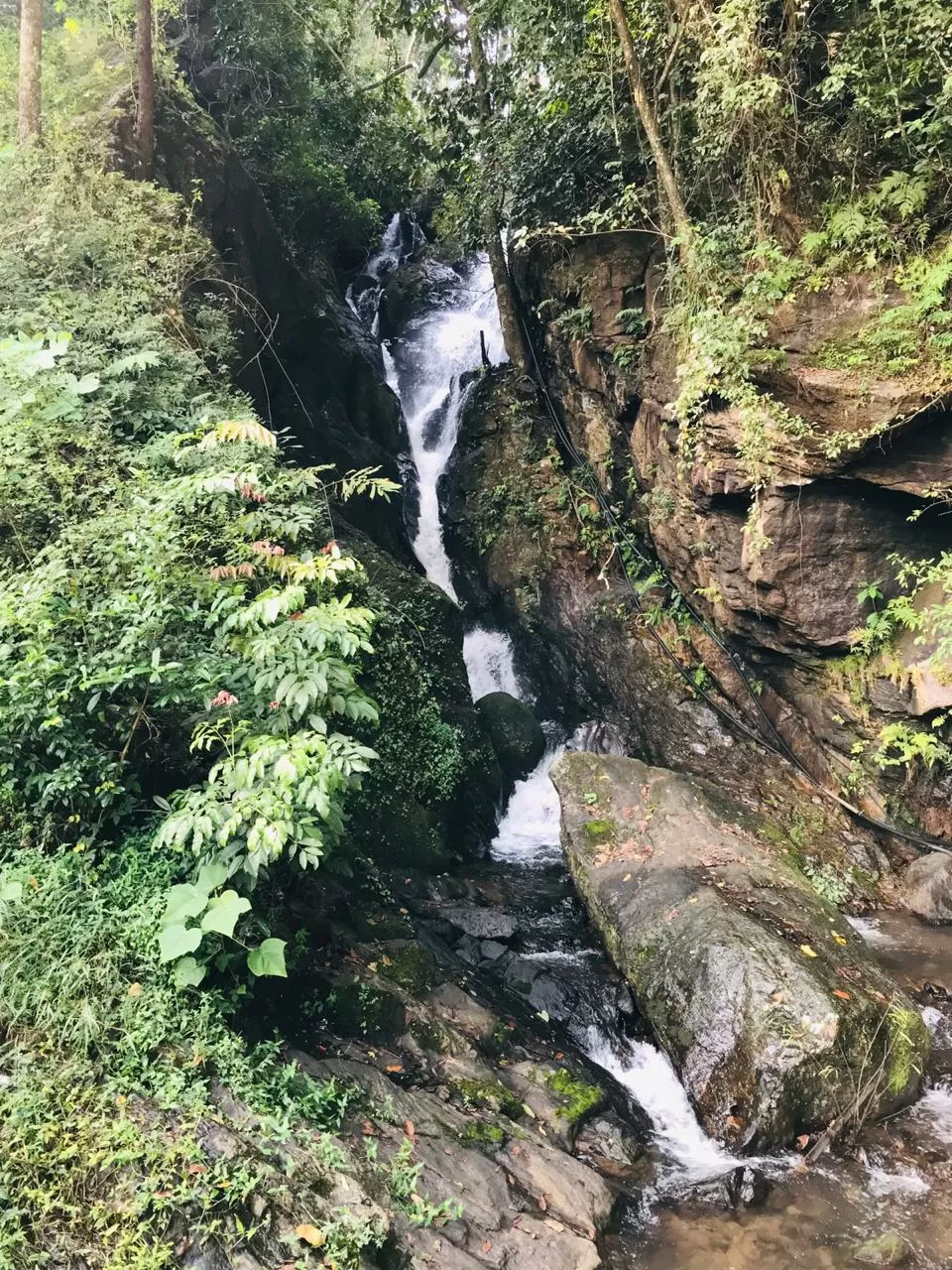 Photo of Abbi Kolli Falls By Naveen Kashyap GS